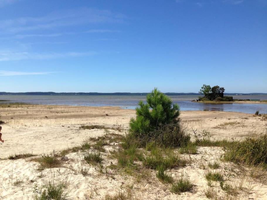Maison Proche Du Lac ! Hourtin Kültér fotó
